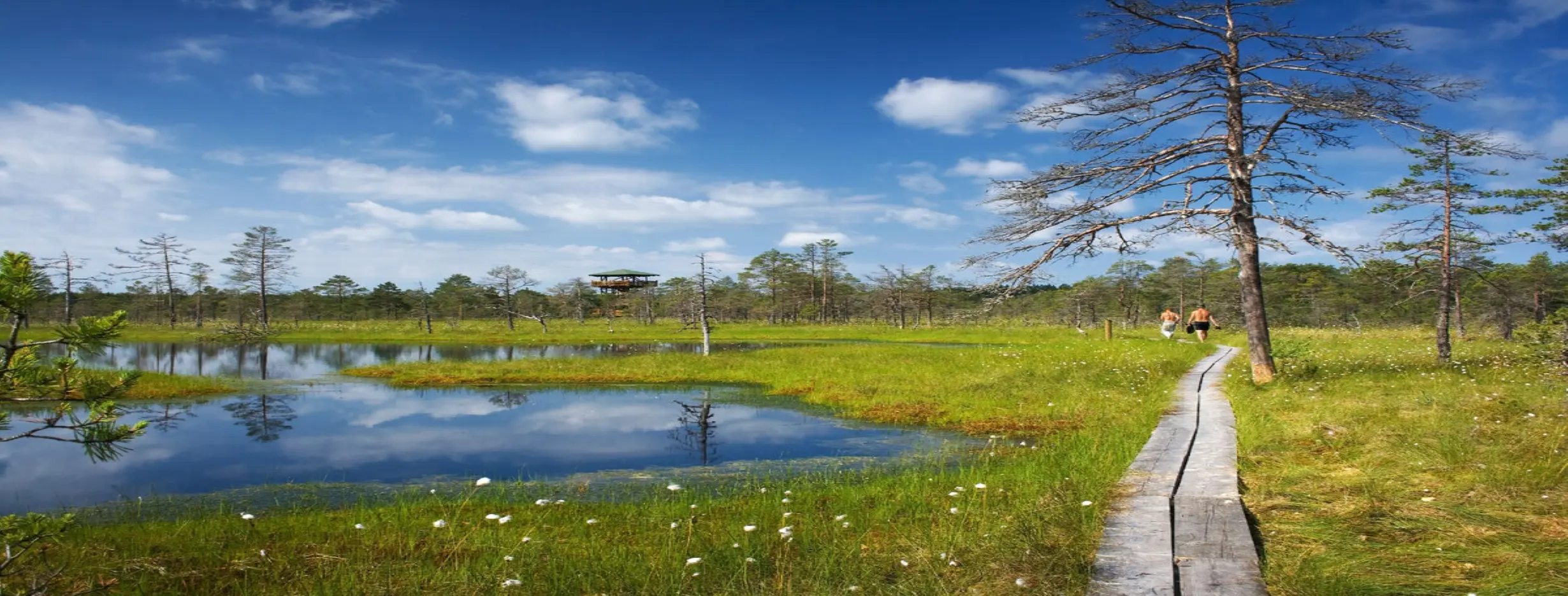 Image for Lahemaa National Park